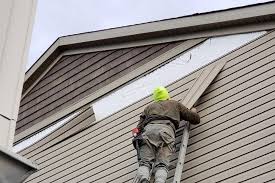 Professional Siding in Alva, FL